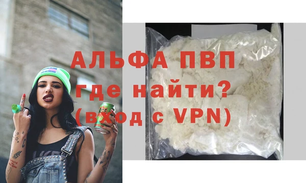 шишки Верея