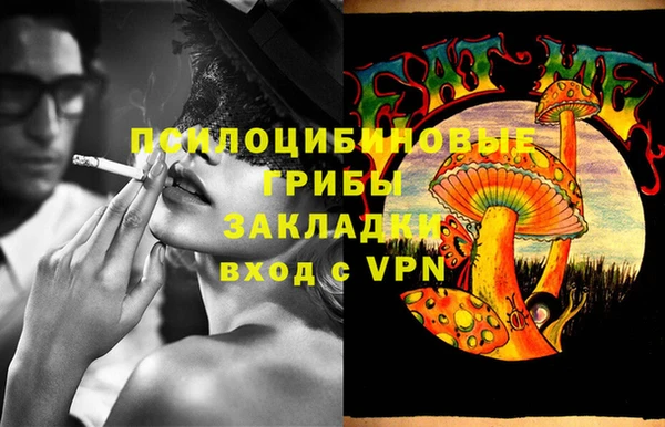 шишки Верея