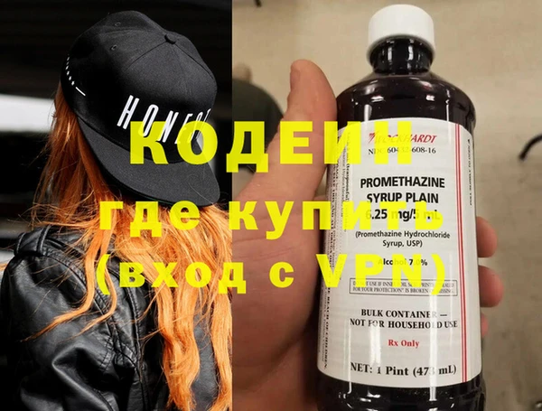 шишки Верея