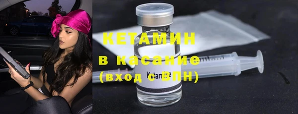 шишки Верея