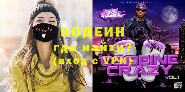 шишки Верея