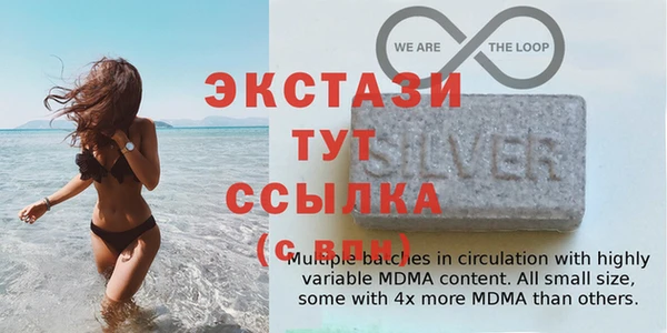 шишки Верея