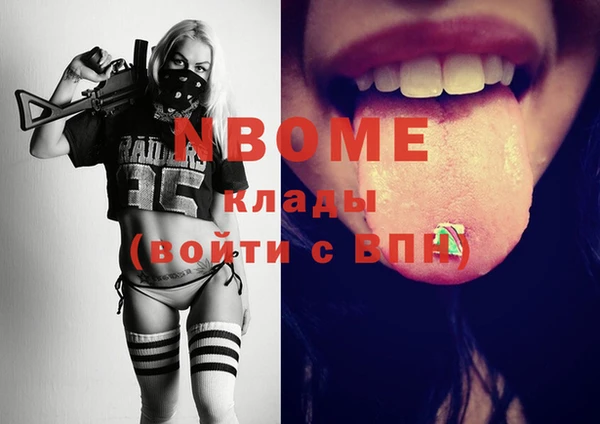 шишки Верея