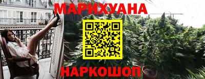 apvp Бийск