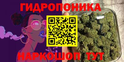 apvp Бийск