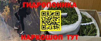 apvp Бийск