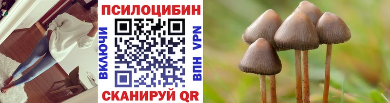 Галлюциногенные грибы Cubensis  дарк нет Telegram  Воткинск 