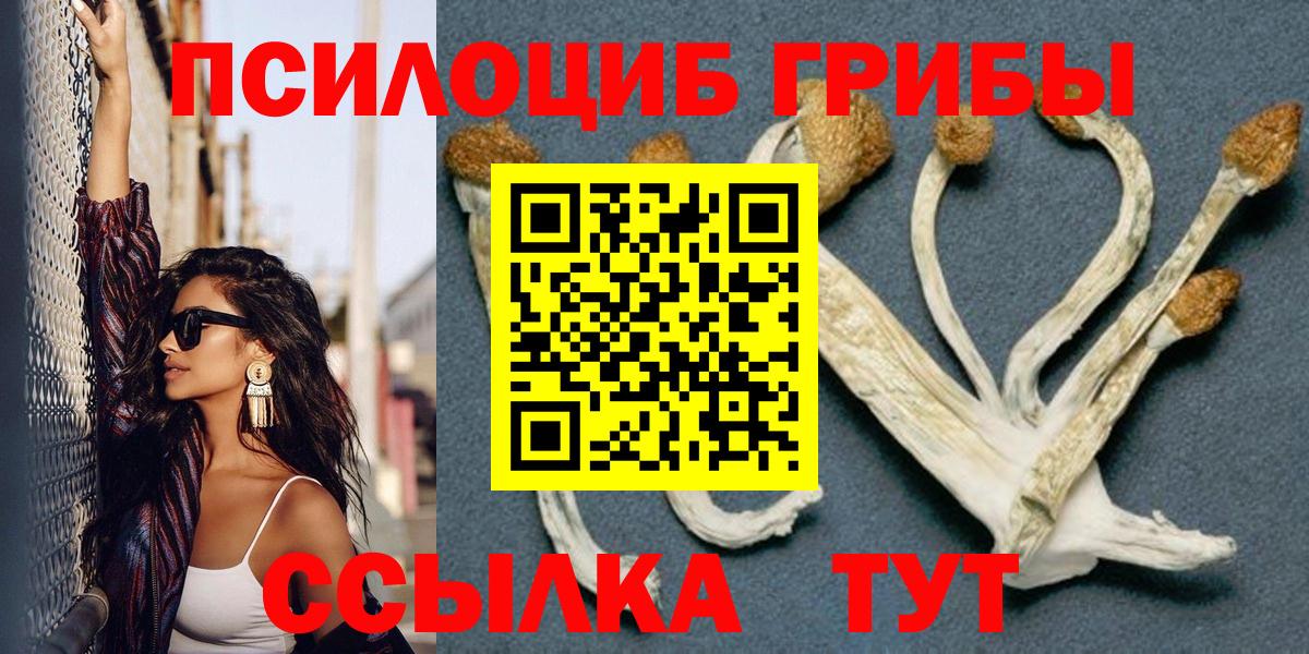 Псилоцибиновые грибы Cubensis Воткинск