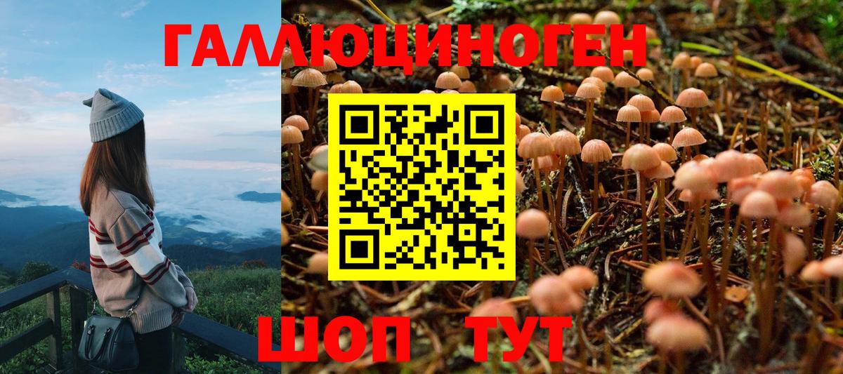 Галлюциногенные грибы Psilocybine cubensis  Воткинск 