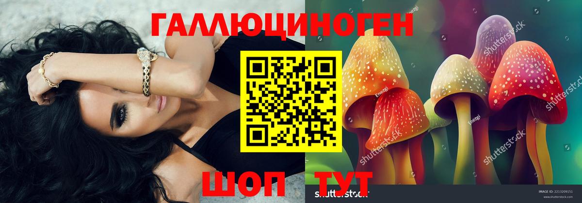 Галлюциногенные грибы Psilocybine cubensis Воткинск